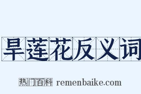 旱莲花反义词是什么意思的图片